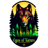 Wolf and Mountain - Nature