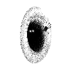 Black Hole Monster