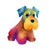 Zwergschnauzer