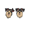 Zwergschnauzer