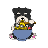 Zwergschnauzer