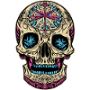 Sugar Skull | Sugar Skull