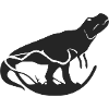 T-REX