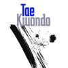 Taekwondo Fighter Martial Arts