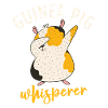 Cute Guinea Pig Gift
