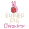 Cute Guinea Pig Gift