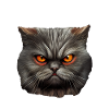 Katze Kätzchen Katzenhalter Katzen Sarkasmus