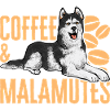 Alaskan Malamute Dog