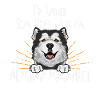 Alaskan Malamute Dog