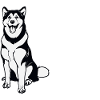 Alaskan Malamute Dog