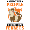 Ferret lover Ferret Gift