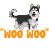 Alaskan Malamute Dog