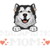 Alaskan Malamute Dog