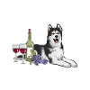 Chien Malamute d’Alaska