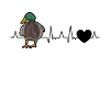 Ducks Heartbeat Duck Breeder