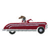 Car with dog