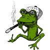 Root-Frog