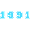 1991 Year Number