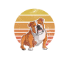Deutsch Bulldog