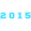 2015 Year Number
