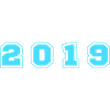 2019 Year Number