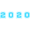 2020 Year Number