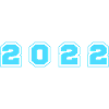 2022 Year Number