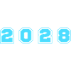 2028 year number