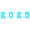 2029 Year Number
