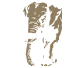 Benin - Elephant