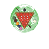 Snooker player Snooker born 1955 Birthday