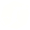 reptile