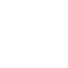 Houston Skyline