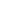 Chicago Skyline