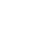 Houston Skyline