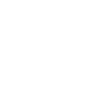 Chicago Skyline