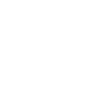 Boston Skyline