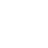 Seattle Skyline