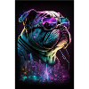 Sunglasses Neon Bulldog
