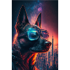 Sunglasses Neon Malinois