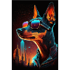 Sunglasses Neon Pinscher