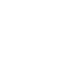 Washington Skyline
