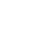 Washington Skyline