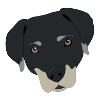 Oscar