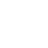 Denver Skyline