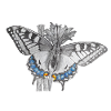 Papillon - Papillon