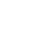 Miami Skyline