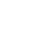 Raleigh Skyline