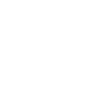 Raleigh Skyline