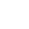 Miami Skyline